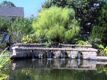 no filter koi pond checklist