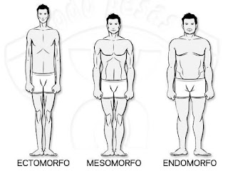 Alonso Ferreyros: El tamaño y la forma del cuerpo tiene mucho que ver ...