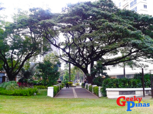 Let's Visit Washington SyCip Park and Legazpi Active Park!
