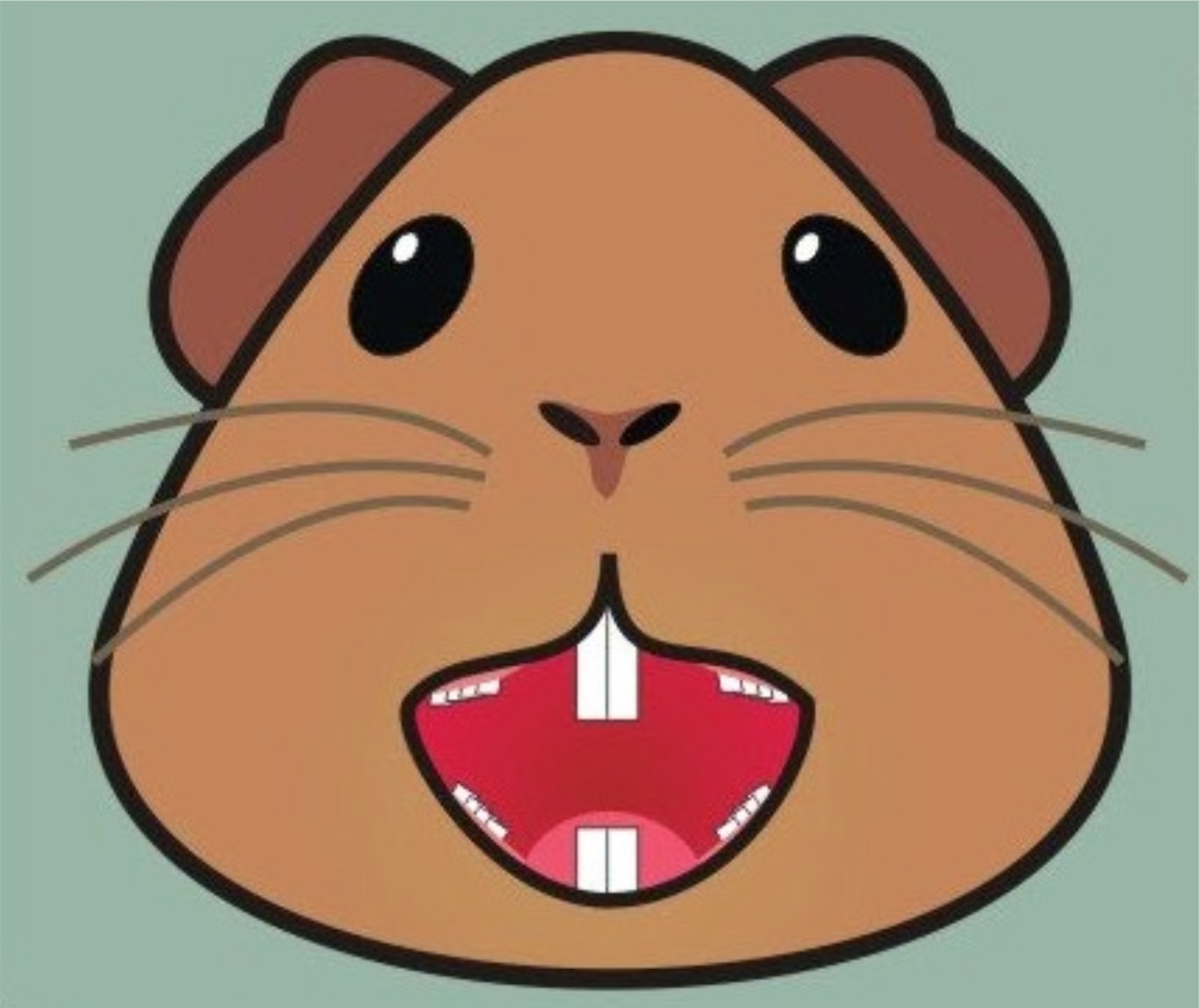 Porquinhos da índias