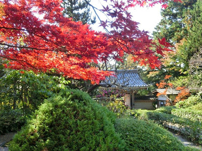 浄妙寺の紅葉