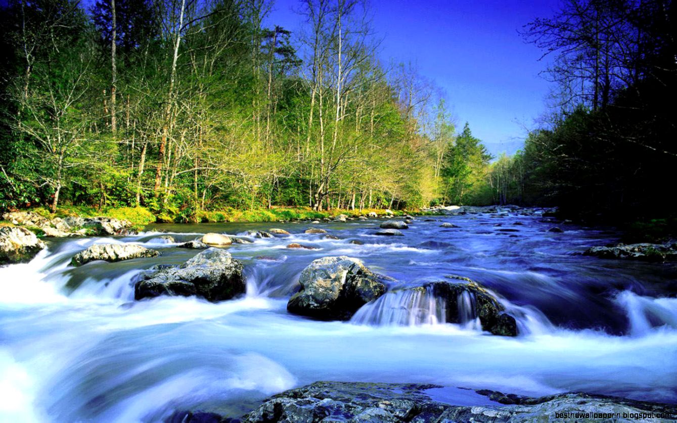 Beautiful Scene Wallpapers HD