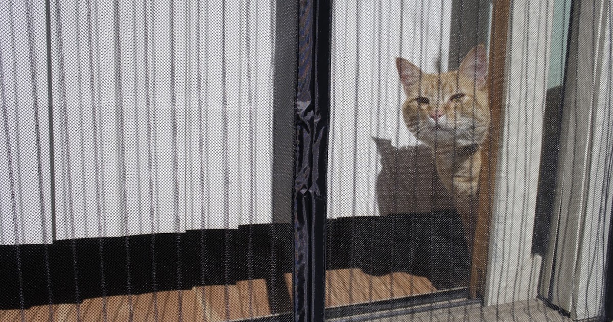 Screen Door by Magzo Let Me Review That For You!