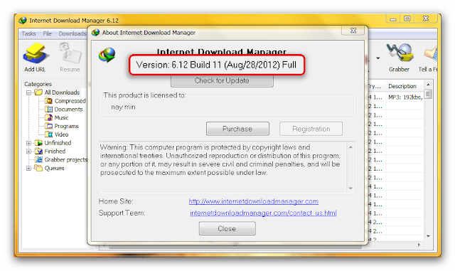 internet download manager 6.12 free download