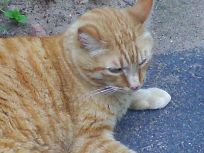 lies, lies.. all of them, LIES!