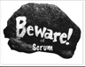 Beware of Scrum