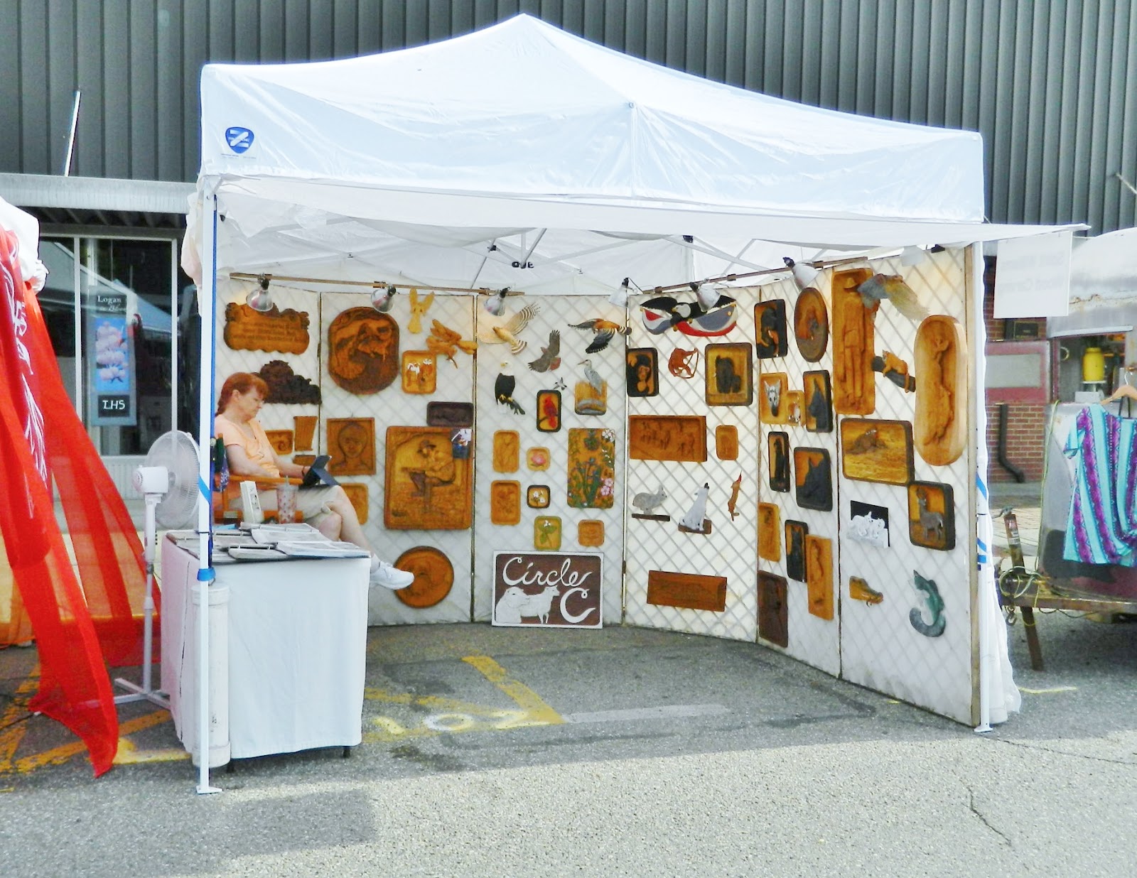 Washboard Music Festival Review Logan