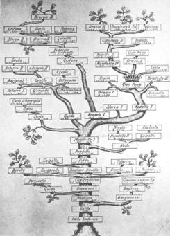 Pensieri Preghiera Di Liberazione Dell Albero Genealogico