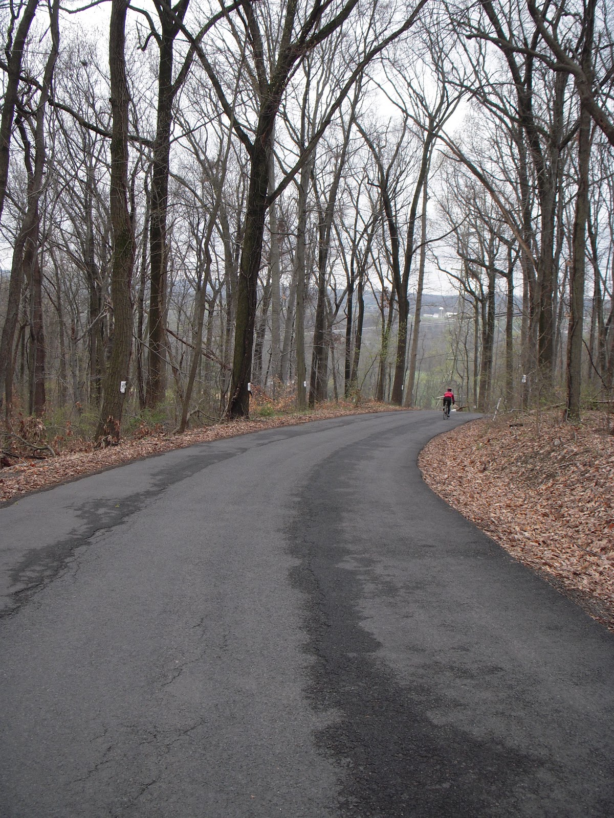 Hill Slug Chronicles Frenchtown Coffeetown Easton