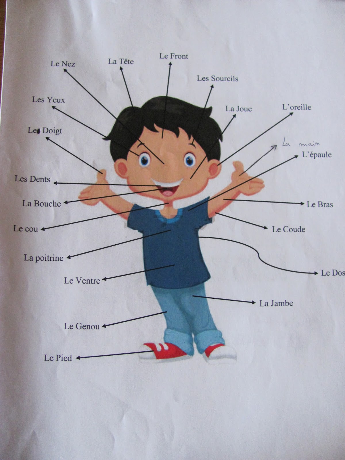 Le corps humain et le visage - vocabulaire - travaux réalisés par mes ...