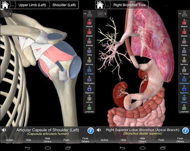 essential anatomy 3 apk cracked essential anatomy 3 apk cracked