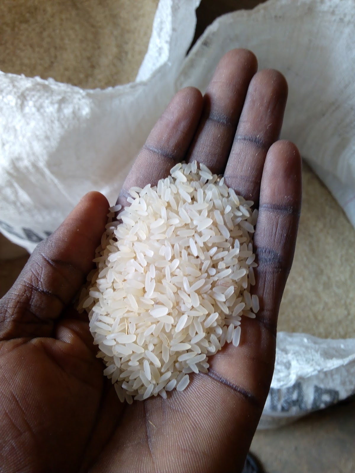 UU Foods Firm : Parboiled and Milled Rice