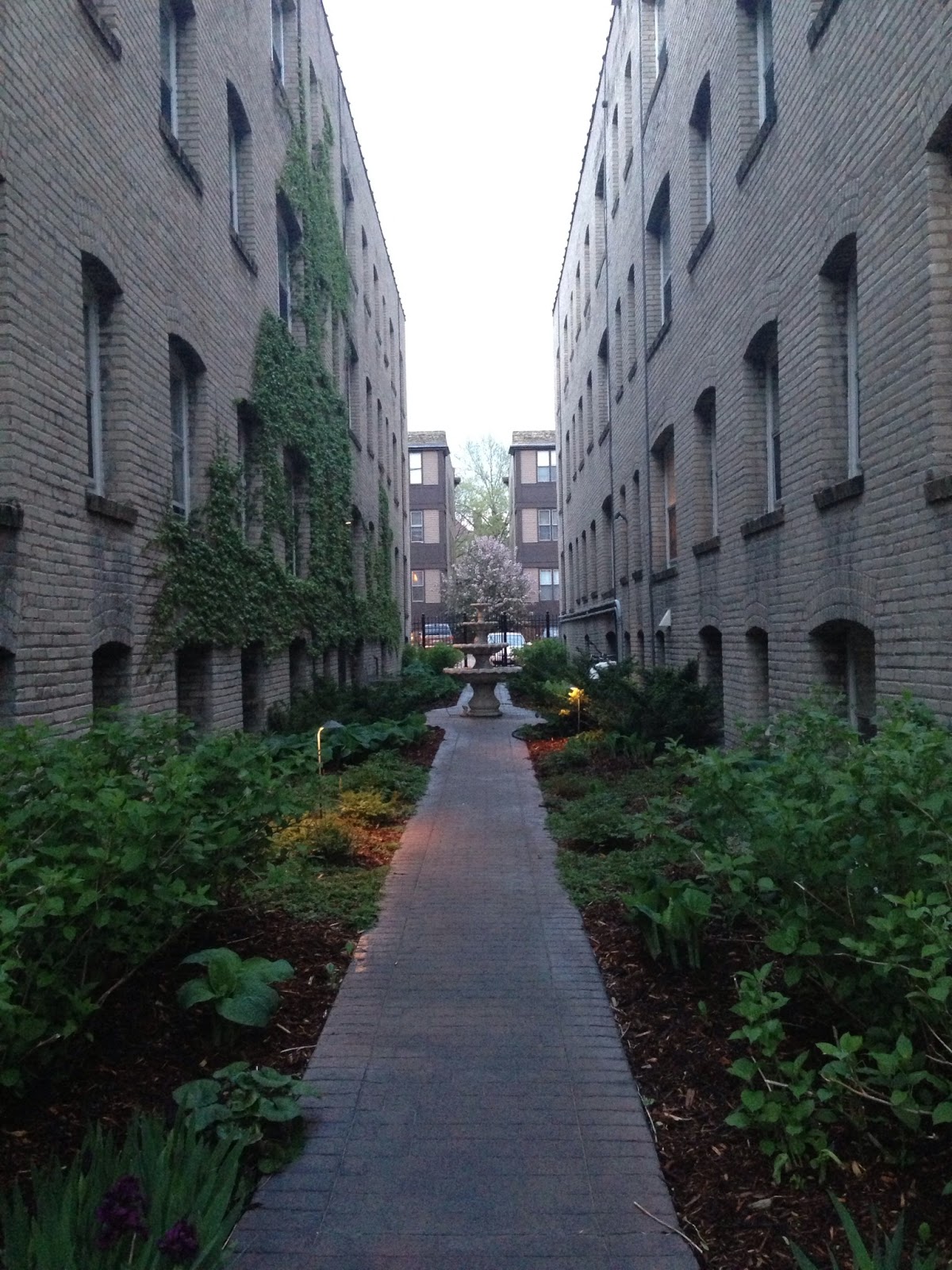 DFDC Alley Garden & Foliage