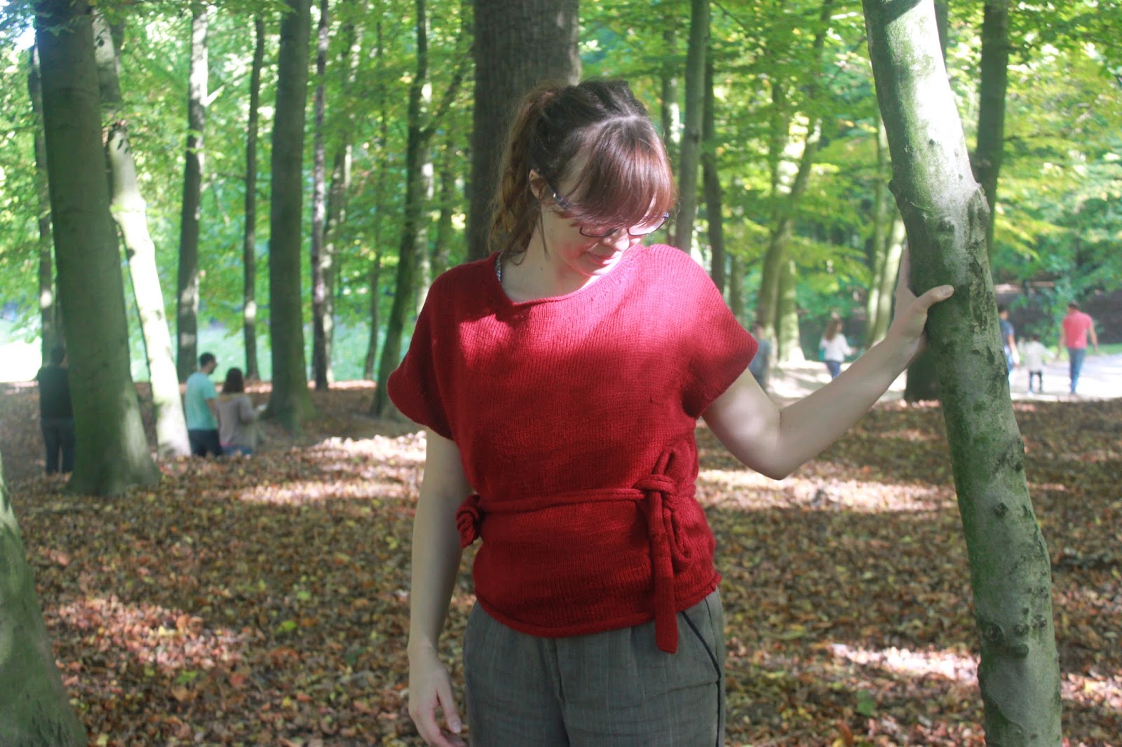 Les aiguilles de Nat: Pull chauve-souris Bergère de France