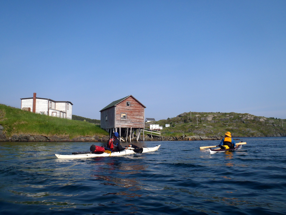 My Newfoundland Kayak Experience From Cobbs Arm to Codjack Cove