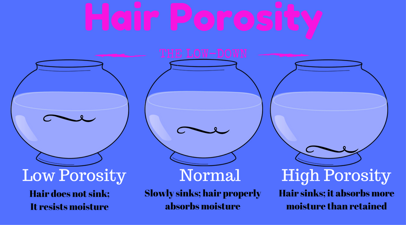 Let S Talk Hair Porosity Natural N Thick