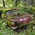 Car Cemetery In A Forest (30 Pics)