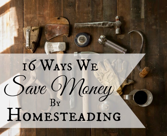 http://areturntosimplicity.com/16-ways-we-save-money-by-homesteading/