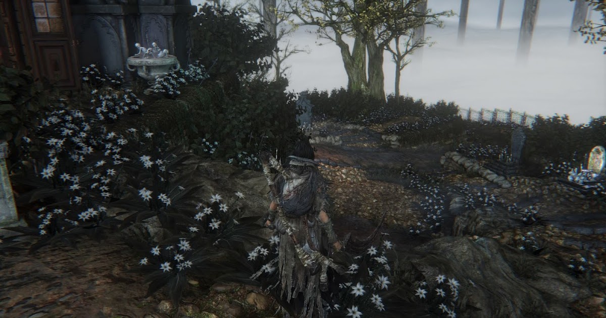 Flowers in Hunter's Dream Bloodborne Wiki