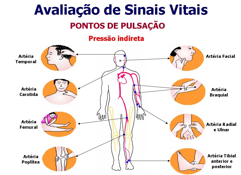. Avaliação de Sinais Vitais . Avaliação de Sinais Vitais
