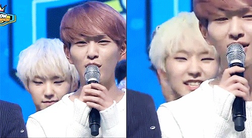 I AM KPOP GIRL : Hoshi The Most Successful Shawol