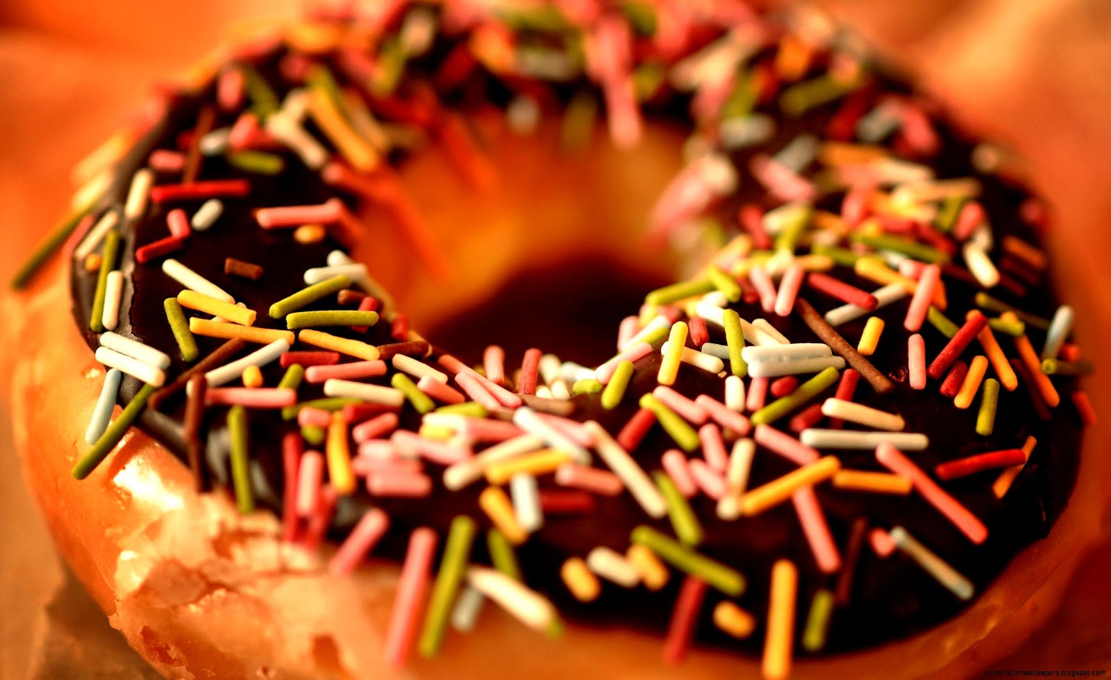 Doughnut Photography 2560x1600