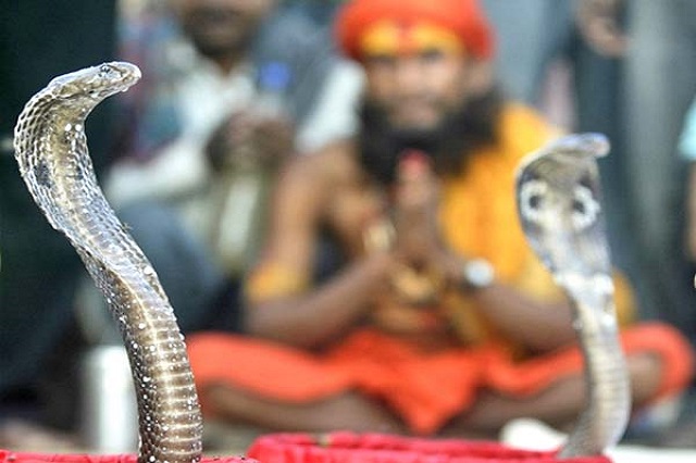  Nag Panchami - Festival in India in August