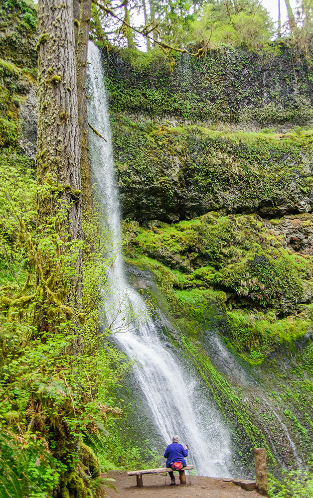 Merikay's Dream Silver Falls State Park, Oregon