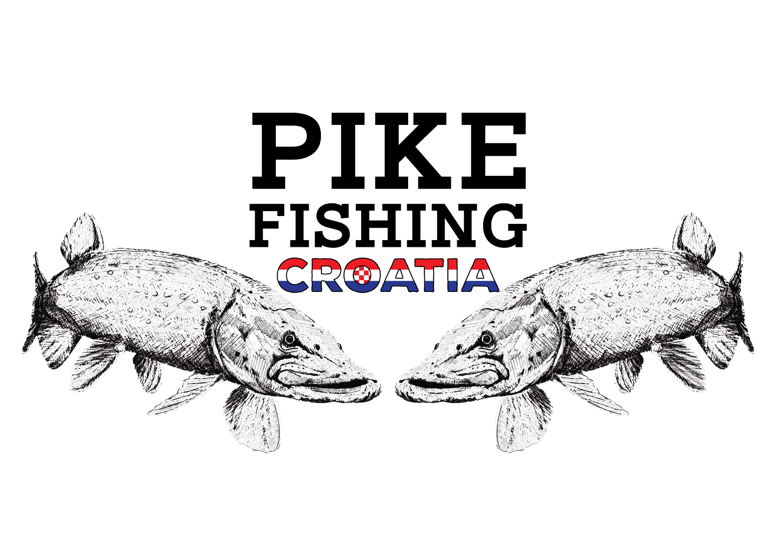 Pike Fishing Croatia