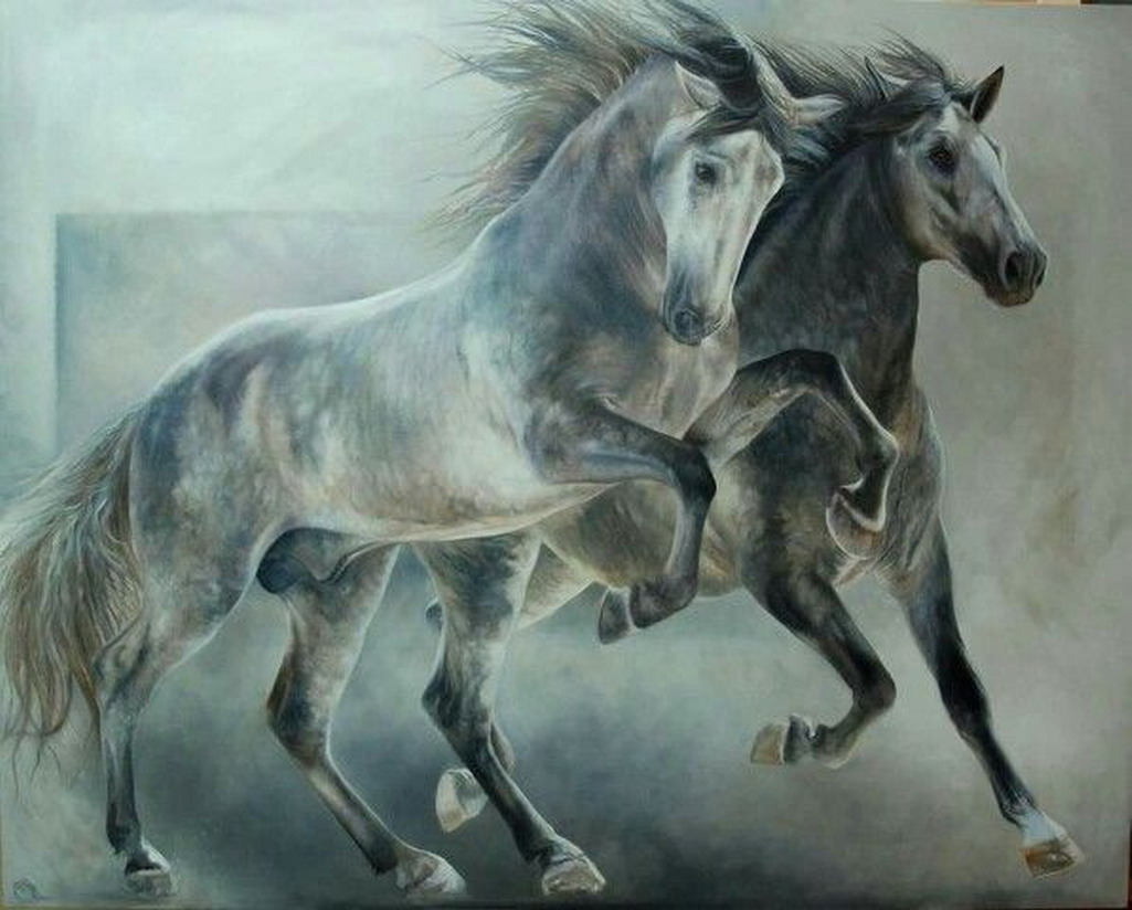 Black And White Paint Horse Drawings Black And White Paint Horse Drawings