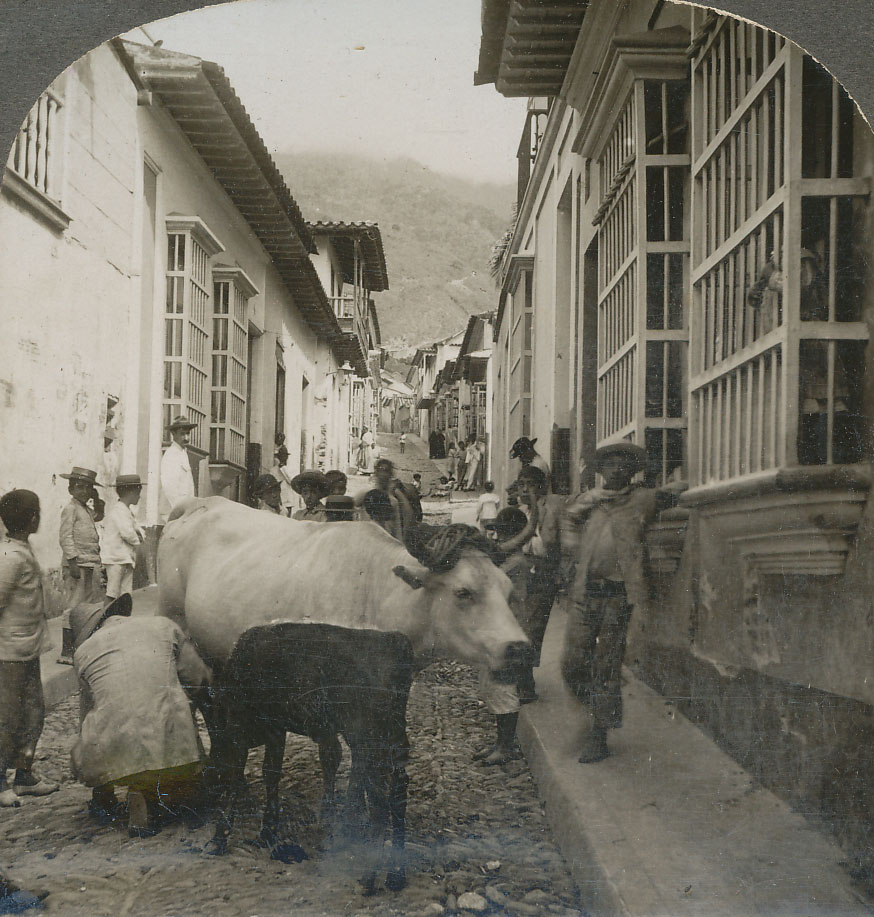 Proyecto GUAYRA Lechero de 1909