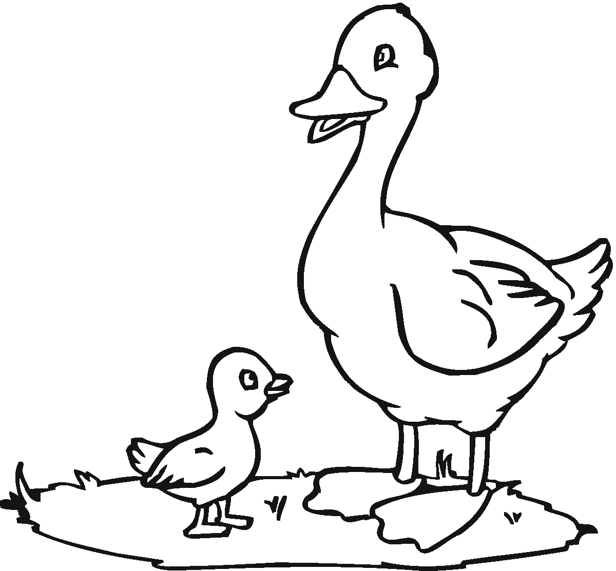 baby ducks coloring pages - photo #7
