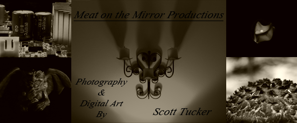 Meat on the Mirror Productions