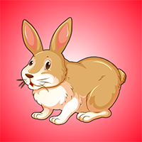 AvmGames Escape The Rabbit