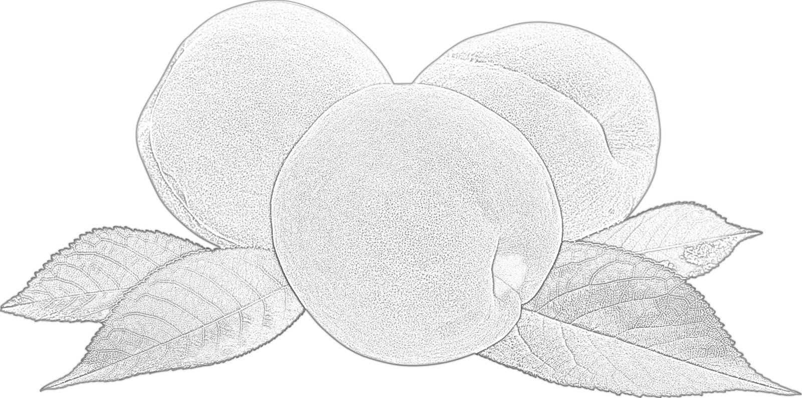 Coloring Pages: Fruit Coloring Pages