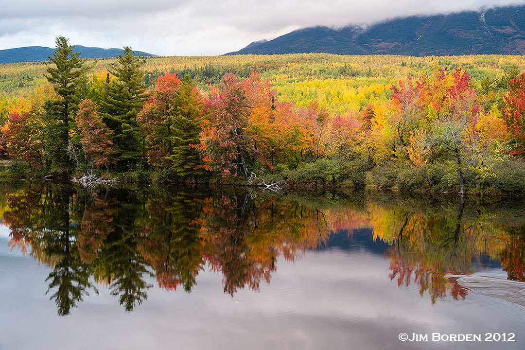 JJ Wildlife Photography Maine Fall Foliage