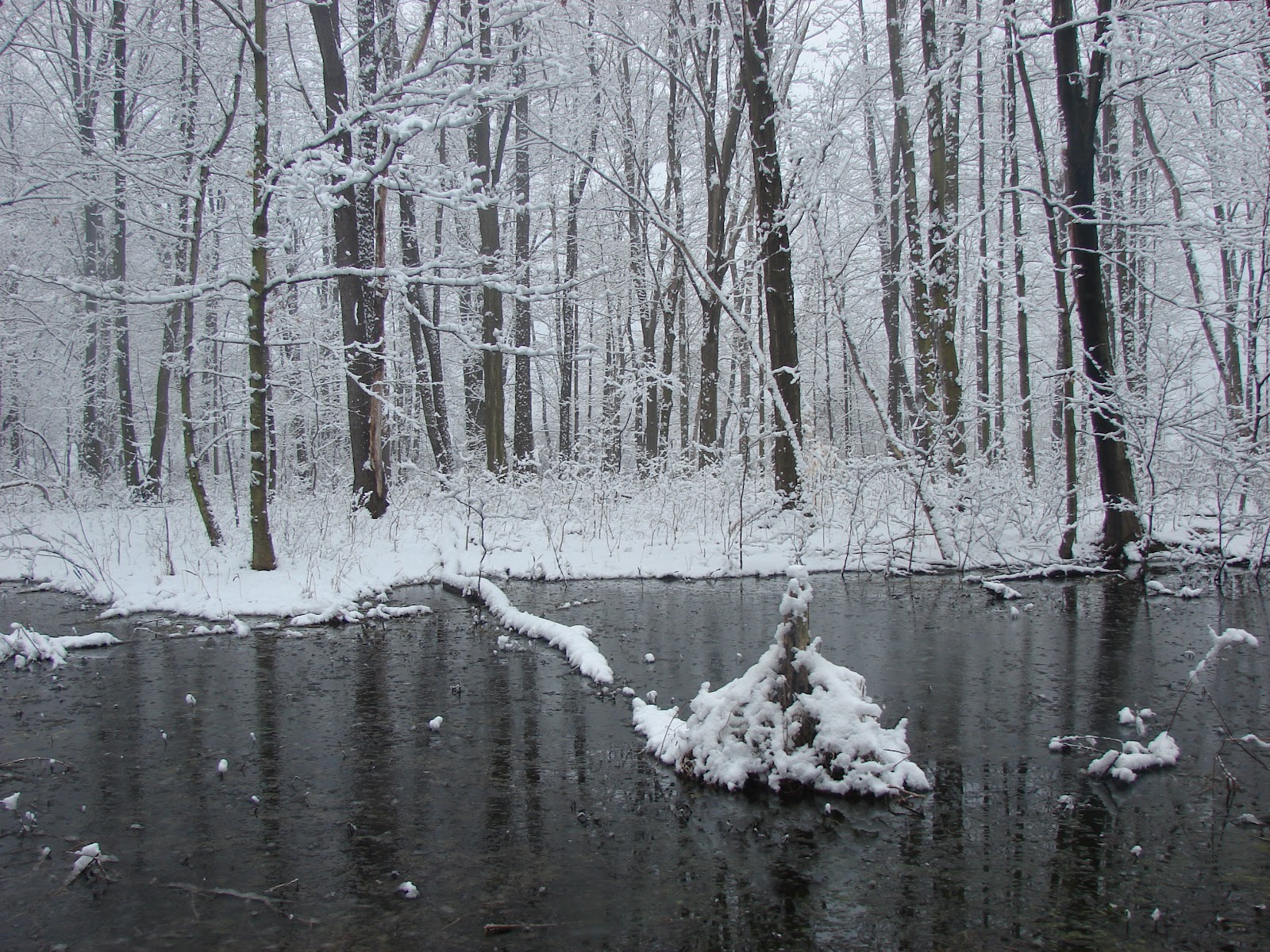 Pymatuning Photo Gallery: WINTER ON PYMATUNING LAKE Pymatuning Photo Gallery: WINTER ON PYMATUNING LAKE
