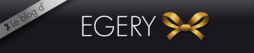 le blog d'EGERY