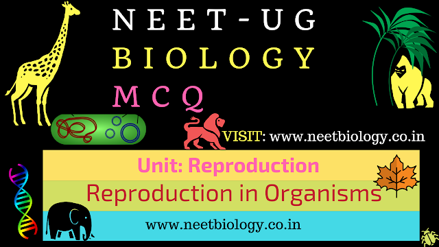 NEET MCQ ON REPRODUCTION IN ORGANISMS