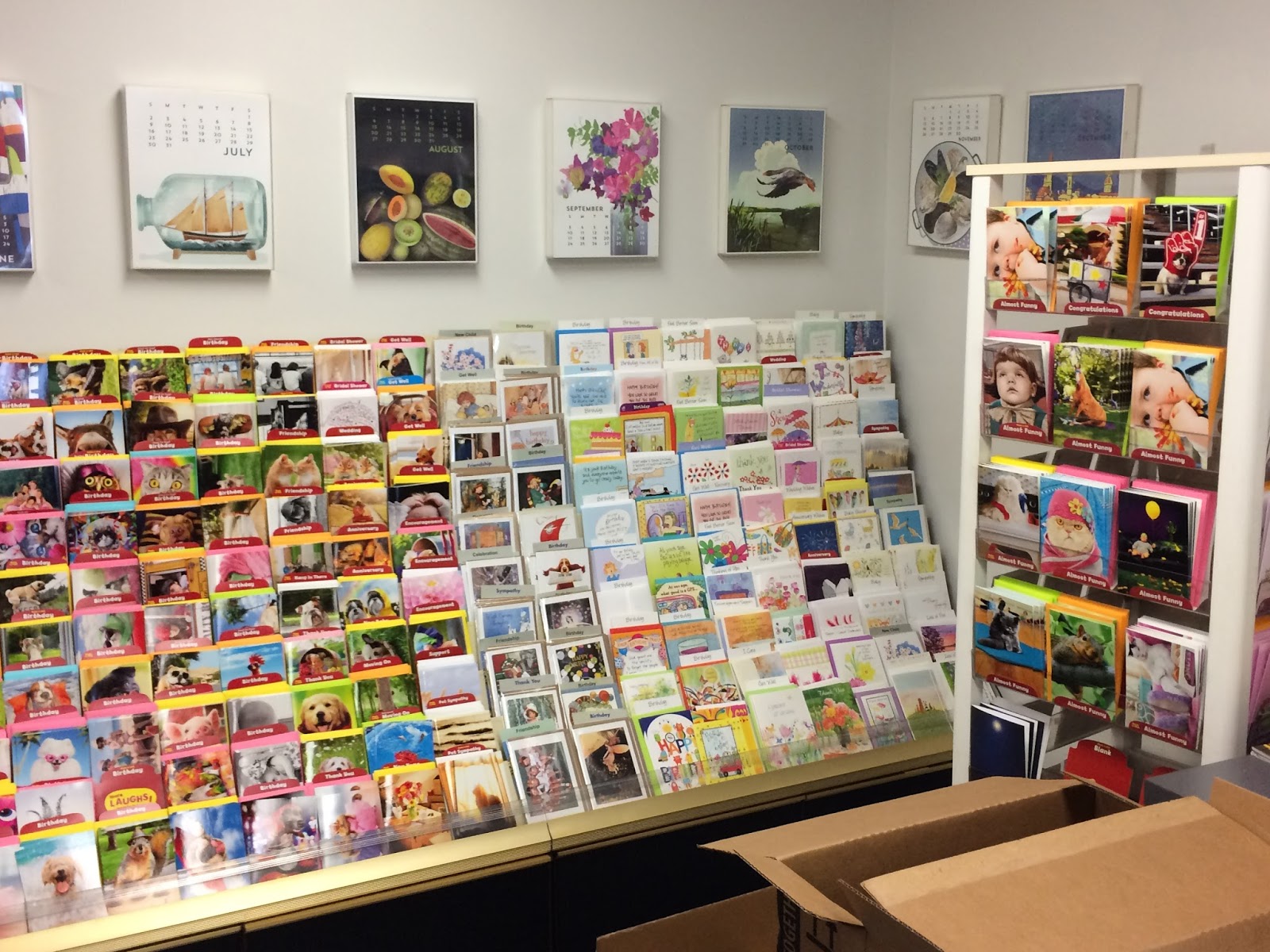 The Indie Bob Spot The Bookshelf Madeira, OH