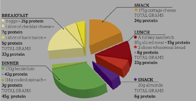 Daily Protein Intake Chart