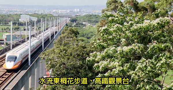 台中外埔|水流東桐花步道|高鐵觀景台|賞桐花近距離觀賞高鐵呼嘯而過 台中外埔|水流東桐花步道|高鐵觀景台|賞桐花近距離觀賞高鐵呼嘯而過