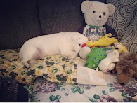I still sleep with my teddy bear that I've had since the day I was born.... literally.