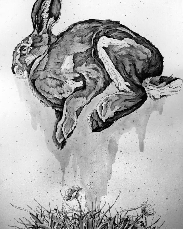 Design Stack: A Blog about Art, Design and Architecture: Animal ...