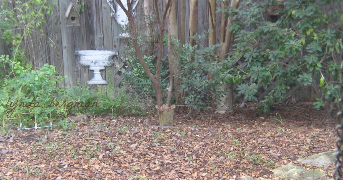 BIRDS & DAFFODILS "PLEASE DON'T THROW MY LEAVES AWAY"