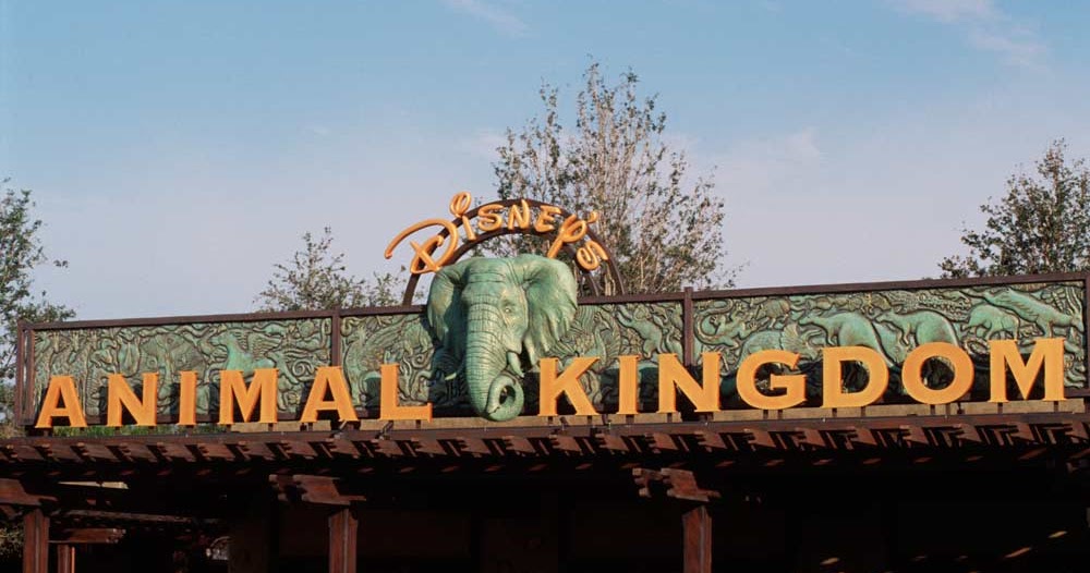 Disney's Animal Kingdom Zoo World Famous Zoo
