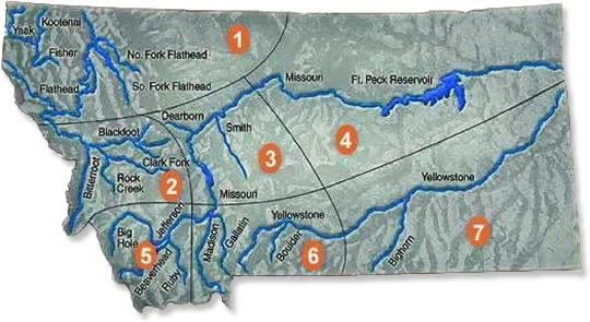 Mountains, Rivers, & Trout: Waters I Guide & Fish