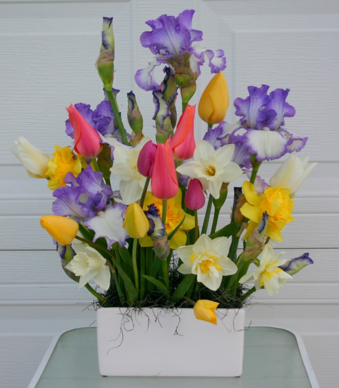World of Irises "Talking Irises" DISPLAYING IRISES Using a variety of flowers, vases and