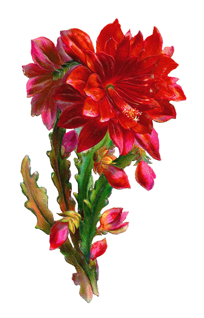 free clip art red flowers - photo #14