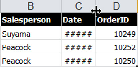 100 Amazing Computer Tips: Tip #46 - Excel AutoFit Column Width